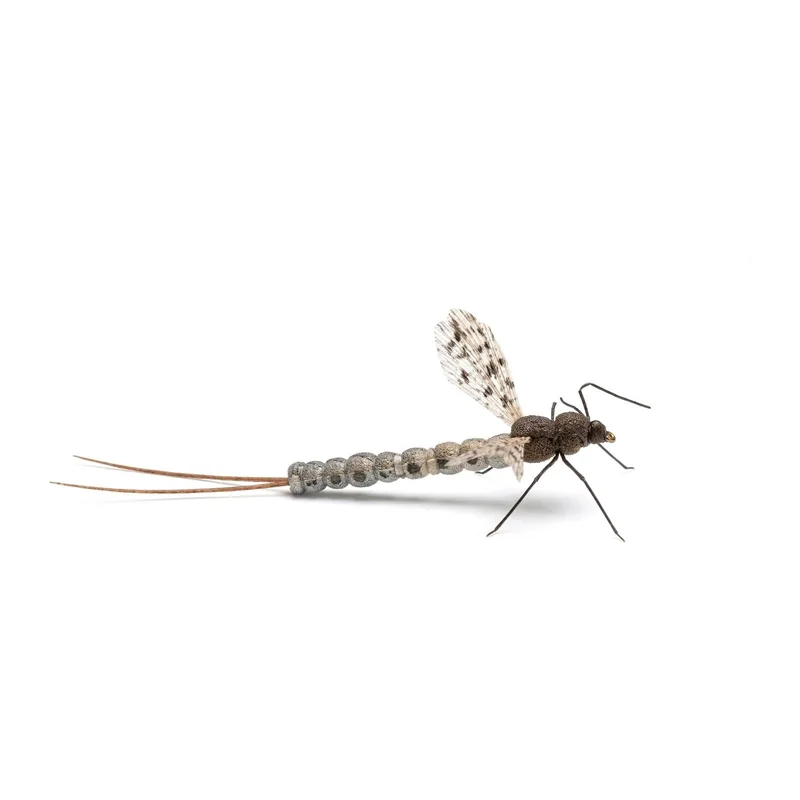 Hand-tied grasshopper and drake pattern with a segmented body